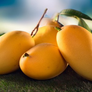 Mango