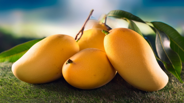 Mango
